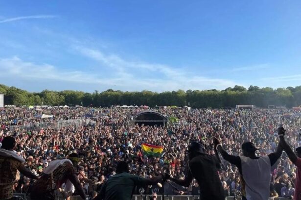 Africa Oyé to Become Ticketed Event in 2026 After Fallow Year
