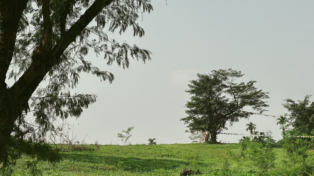 Importance of Green Spaces in Cities: Urban Nature and Well-being