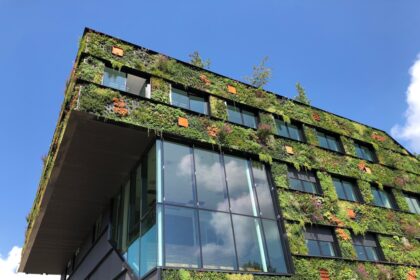 Sustainable Architecture Trends: Building for the Future