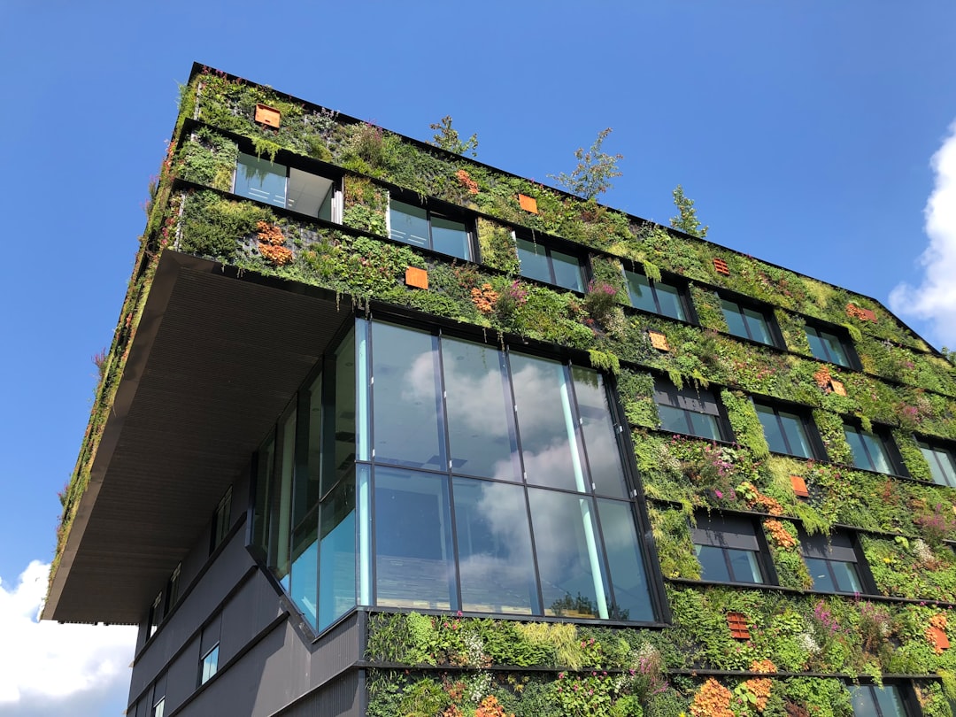 Sustainable Architecture Trends: Building for the Future